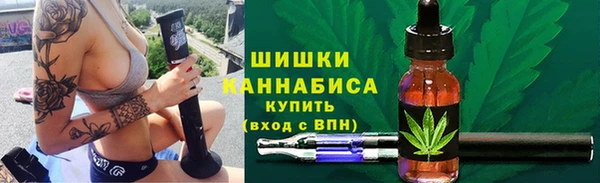 гидра Аркадак