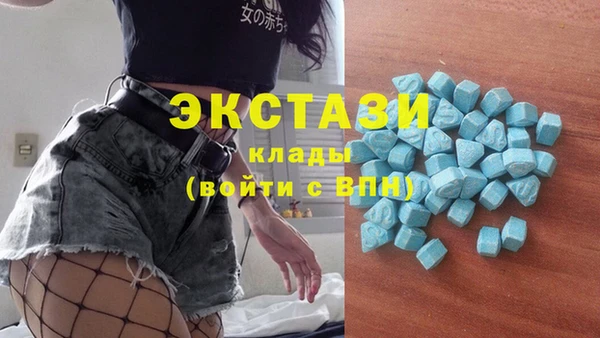 гидра Аркадак