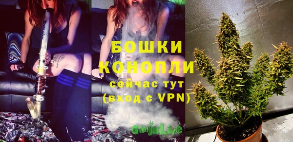 гидра Аркадак