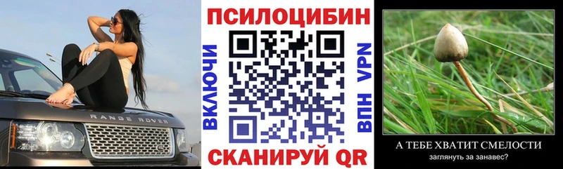 Псилоцибиновые грибы Cubensis  Фролово 